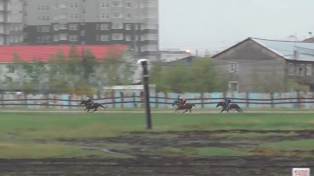 Тренинг скаковых лошадей. Дистанция 2400 м. Скай Файтер смотреть онлайн