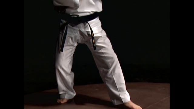 Taekwondo basic blocking смотреть онлайн