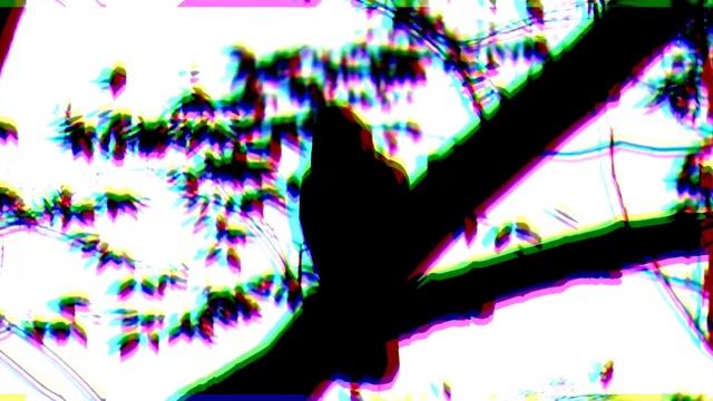 "Ворон" ( "Это случается раз в девяносто лет...") автор Джио Россо #джиороссо#стих смотреть онлайн