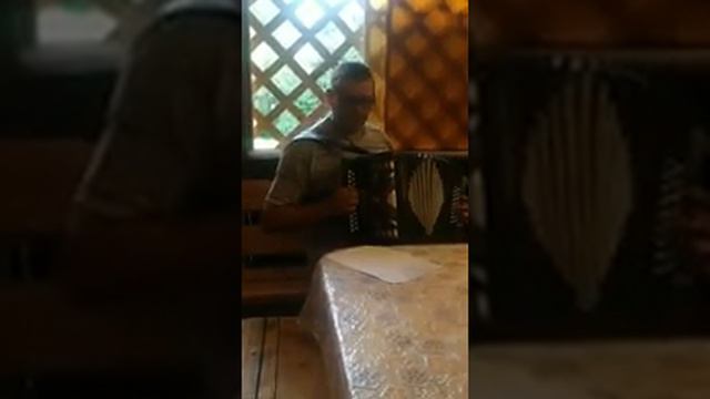 Авторская песня от Виталия Духовича.Гармонь. смотреть онлайн