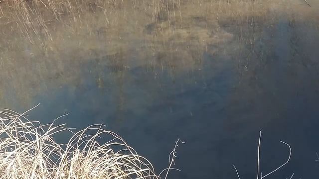 Крещенский сочельник. Приметы и традиции на 18 января. Что нельзя делать и что можно. смотреть онлайн