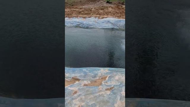 бюджетный вариант пруда для форели смотреть онлайн