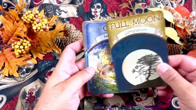 Earth Magic Oracle Cards - Unboxing смотреть онлайн