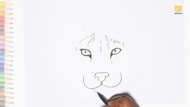 Mountain Lion face outline drawing | How to draw A Mountain Lion face step by step | Outline drawin смотреть онлайн