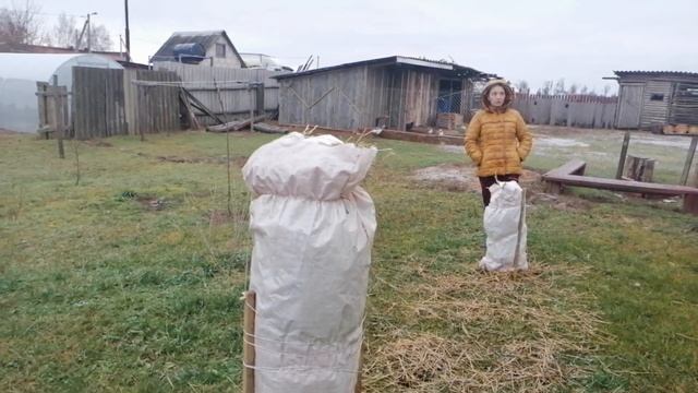 РЕЖЕМ СЕНО ДЛЯ КРОЛИКОВ///КРОЛИКИ//КРОЛИКОВОДСТВО??? смотреть онлайн