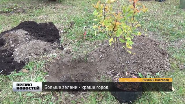 Больше зелени - краше город смотреть онлайн
