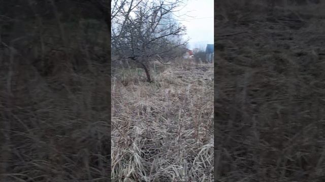 Дача за 30 тысяч рублей смотреть онлайн