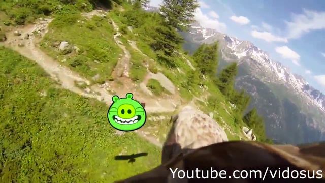 Angry birds от первого лица смотреть онлайн