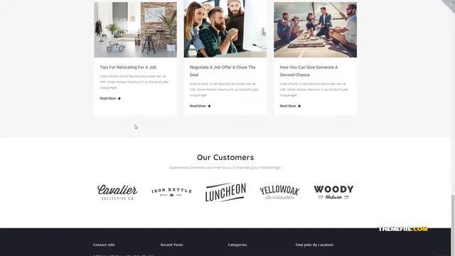 Reina Modern Job Board Elementor WordPress Theme TMT смотреть онлайн