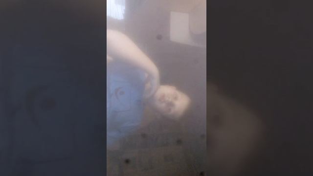 Поччему украинцем нельзя сидеть в вк смотреть онлайн