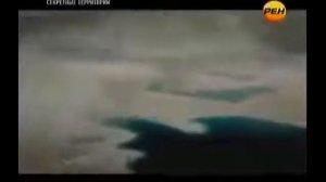 Неизвестная планета в Солнечной системе. Планета Х за Солнцем