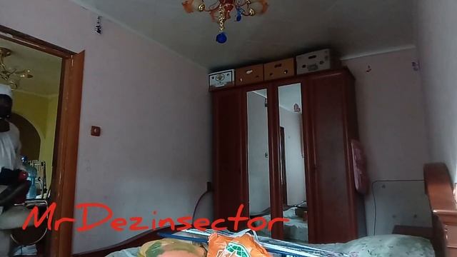 Уничтожение тараканов холодным туманом??? смотреть онлайн