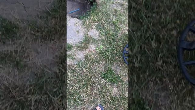 Мультичастота Minelab V540 проти Nokta 15 кГц у чорноземі. смотреть онлайн