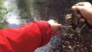 #021 Микро речка  #Мормышинг VS Мормодроч  Безмотылки & мухи