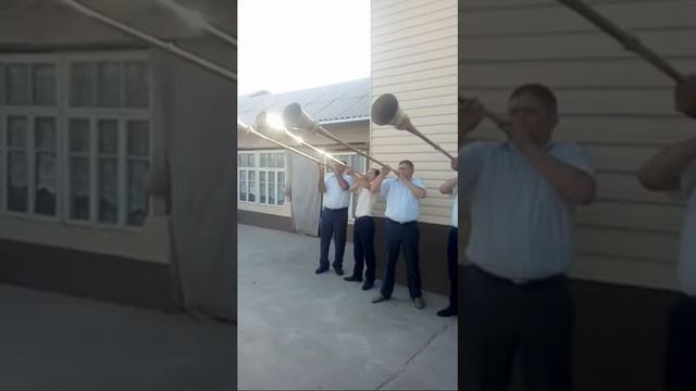 To'y Bazim смотреть онлайн