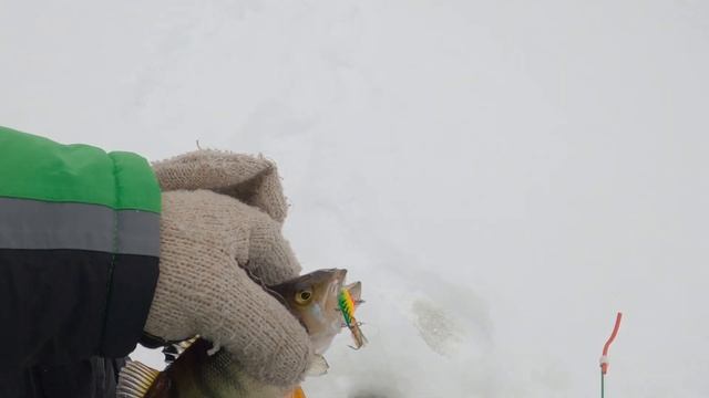 Рыбалка 4.02.2023г. оз Мелкое в народе смотреть онлайн