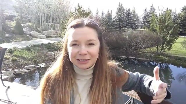 #321. Как заработать 2000 долларов без образования в Америке смотреть онлайн