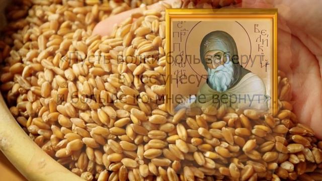 Не рассказывайте о своих планах, и не берите в долг деньги , чтобы проблемы чужие себе не забрать смотреть онлайн