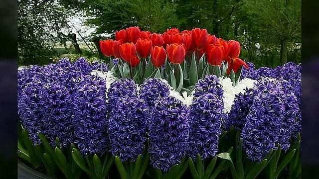 * ДРУЗЬЯ ХОРОШЕГО ВЕЧЕРА И ЧУДЕСНОГО НАСТРОЕНИЯ ??????