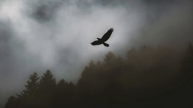 The Eagle, lofi Remix Feat Fulton Sheen смотреть онлайн
