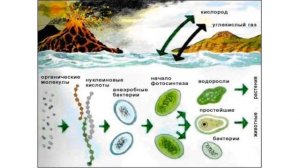 Эволюция атмосферы Земли (рассказывает профессор Андрей Журавлёв)