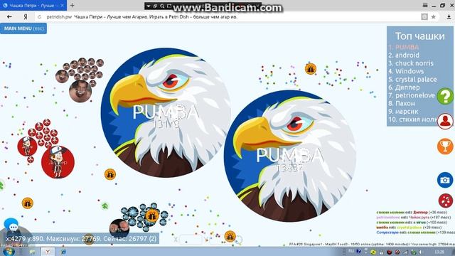 My new record PetriDish +48k mass MEGA EPIC BATTLE смотреть онлайн