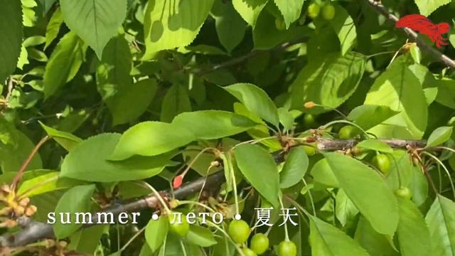 ?? Battersea Park | Year round walk + oral history ? смотреть онлайн