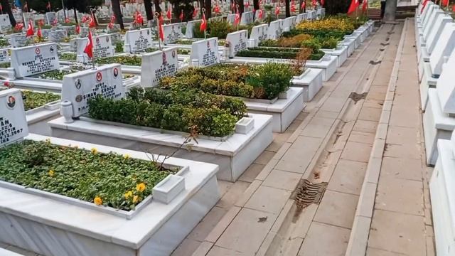 Şehitlik ?? Hakkari Şemdinli Gediktepe Baskını - Askerlik Anısı ?