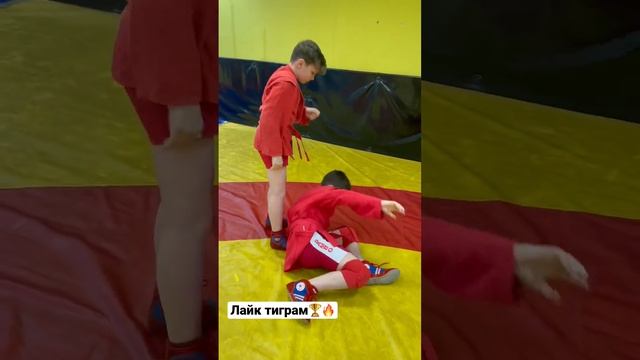 Вариант проведения атаки вперед в три шага✔️? #sambo #wrestling #дзюдо #самбодети #judo #самбо #mma смотреть онлайн