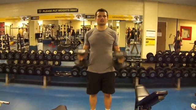 Db Hammer Curl смотреть онлайн