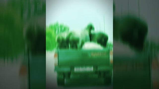 ОРУУУУУ СМОТРЕТЬ ВСЕМ!!!! смотреть онлайн