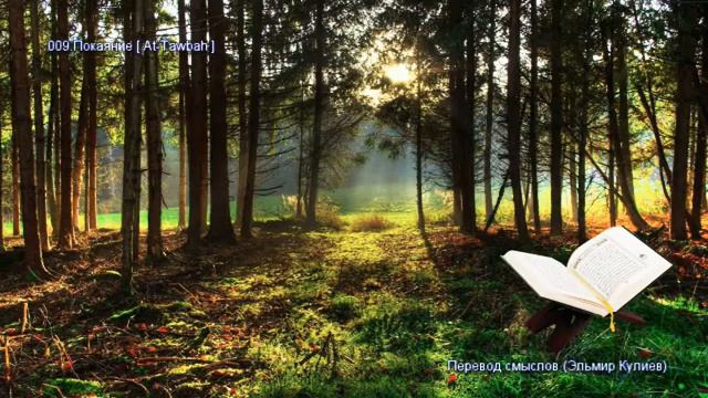 Сура Ат-Тауба - Аудио 🔊|Коран на русском языке #коран #quran смотреть онлайн