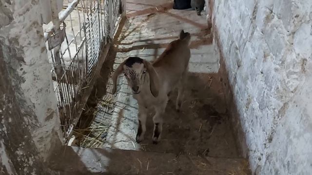 Катя в строю. смотреть онлайн