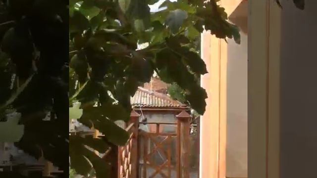 Снять номера в гостевом доме в Ялте +79789026984 #снятьдомвялте #дом смотреть онлайн