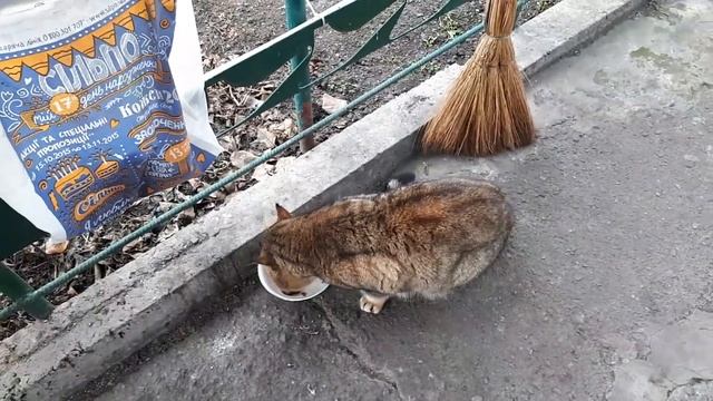*ПАЦИЕНТ* МАРТЫН ВЕРНУЛСЯ К ЛЕЧЕНИЮ смотреть онлайн
