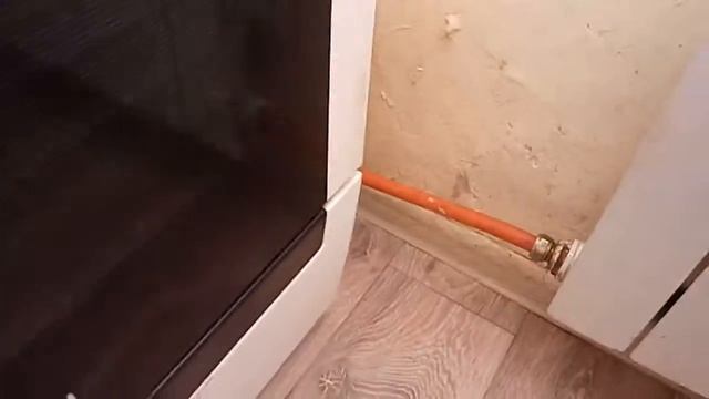 Пугливый кот. смотреть онлайн