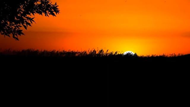 С ТЕЩЕЙ В АРМИИ смотреть онлайн