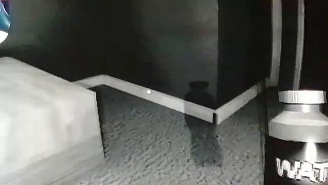 МНЕ НАПИСАЛ НЕЗНАКОМЕЦ В 3 ЧАСА НОЧИ И Я ОТВЕТИЛ! смотреть онлайн