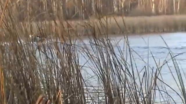 Южанка 2 + Honda 50 смотреть онлайн