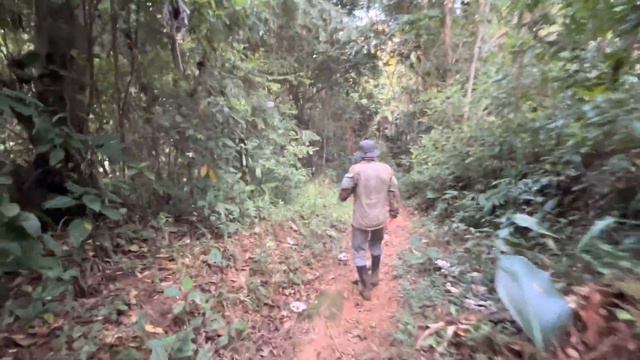 Доминикана / Нас немного обворовали / Dominican Channel