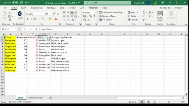 Microsoft Excel Basics: Module 2: Managing Worksheets & Workbook, Lesson 3 смотреть онлайн