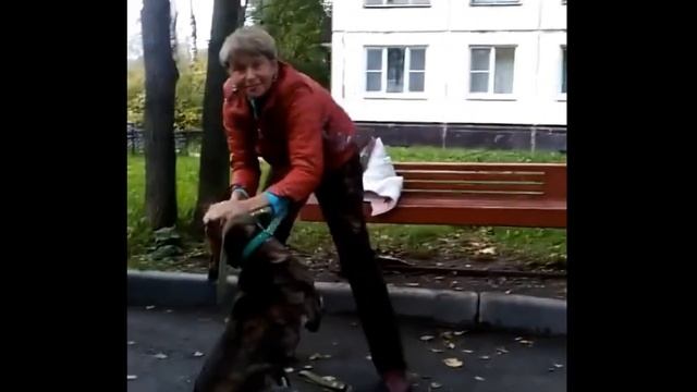 Хозяйке вернули собаку смотреть онлайн