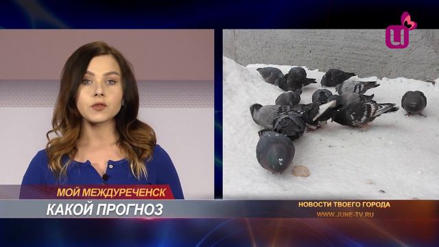 Погода на 23 февраля смотреть онлайн