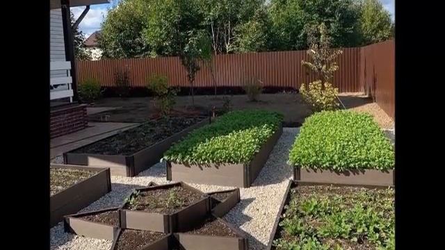 Як вам такий город, де все росте? #Дача. смотреть онлайн