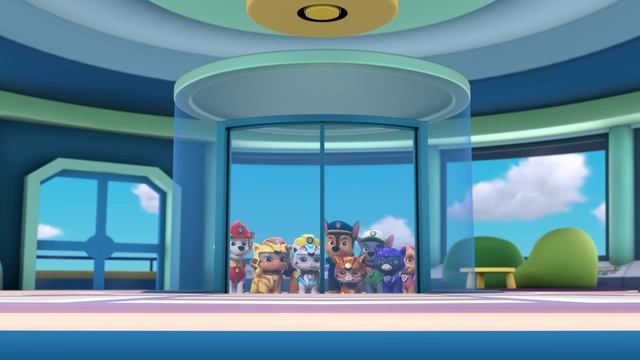 Psi Patrol | Najlepsze Misje Ratunkowe Psiego Patrolu I Kociej Paczki! | Nick Jr. Polska