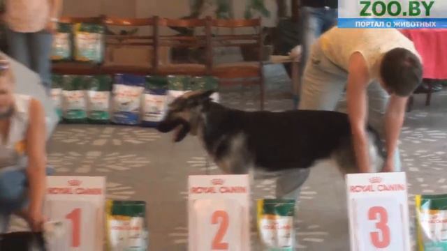 Вне классификации FCI смотреть онлайн