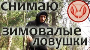 Ловушки на пчёл зимуют на деревьях. Зимовалые ловушки снимаю на восстановление для новой установке