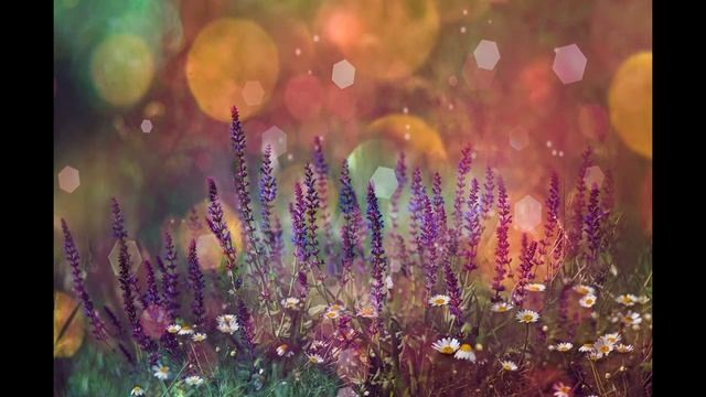 КРАЙОН через Ли Кэрролла ченнеллинг «ПОЛЯ ВЛИЯНИЯ - ЧАСТЬ ПЕРВАЯ» смотреть онлайн