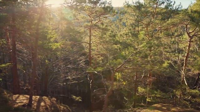 5.7K Canon EOS 5D Mark III Raw Video | Zhiyun Weebill S - Elgersburg & Friedenstein