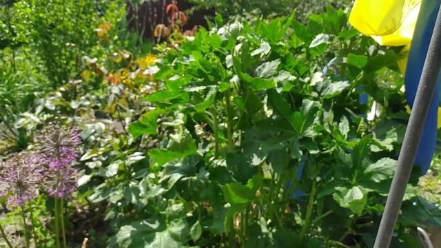 ?Обзор дачи в мае 2023? смотреть онлайн